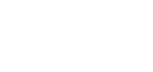 Drain Star Revolution logo bianco